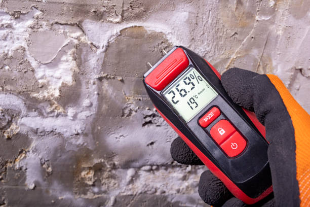 Best Professional Mold Removal  in Eagle, ID